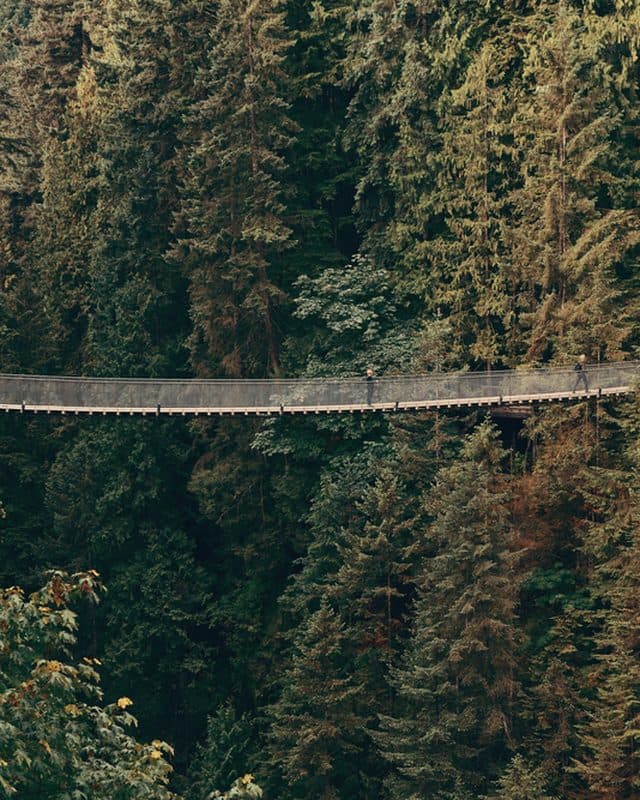 Capilano Suspension Bridge spanning a rainforest canyon