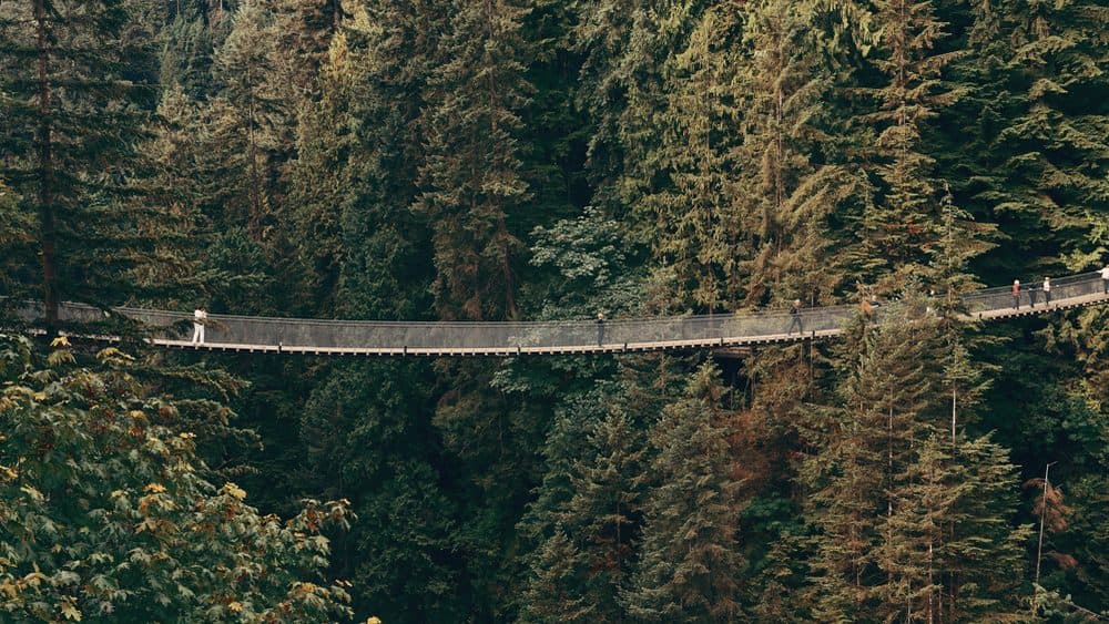 Capilano Suspension Bridge spanning a rainforest canyon